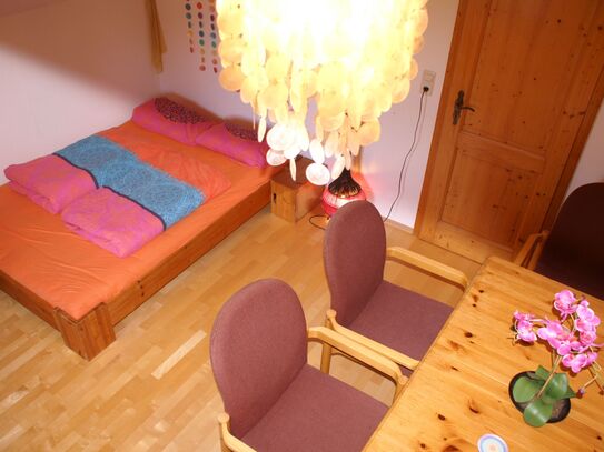 2.5 rooms in courtyard with llamas & cats in solitary location Biederbach