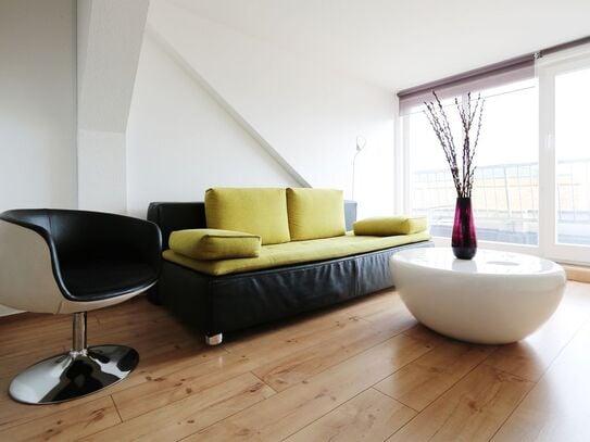 Rooftop Apartment with Stunning views from the terrace in Mitte, Berlin - Amsterdam Apartments for Rent