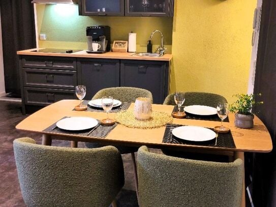 Cozy and newly furnished apartment on the Moselle, near Bernkastel-Kues