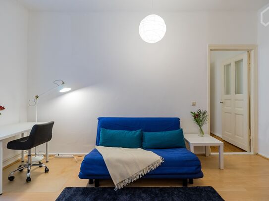 Spacious and cosy studio in Mitte