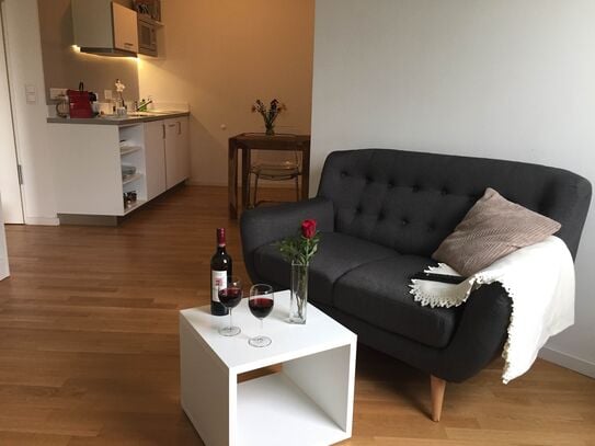 Lovely, gorgeous suite in Nürnberg