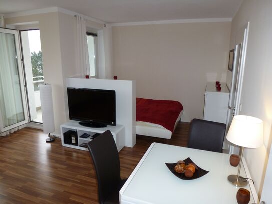 Completely and high quality furnished apartment with balcony