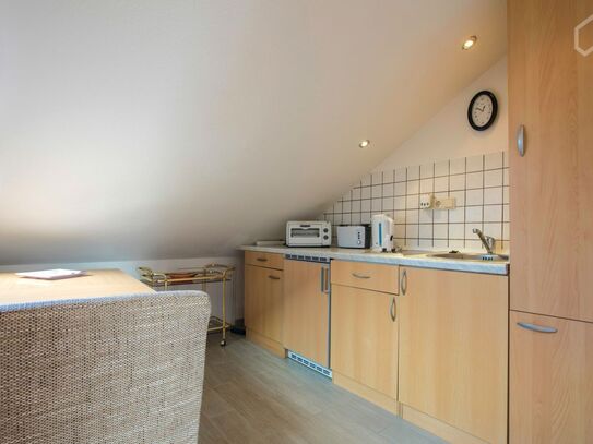 Cozy little Studio apartment in Frankfurt incl. Cleaning service, Frankfurt - Amsterdam Apartments for Rent