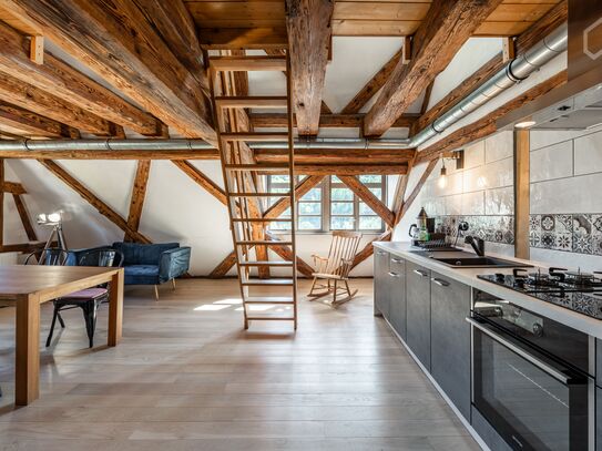 Beautiful and perfect loft in Horb am Neckar