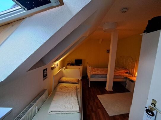 Lovely & new loft in Köpenick, Berlin - Amsterdam Apartments for Rent