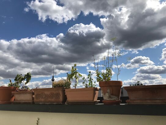 Quiet flat in Mitte with sunny balcony