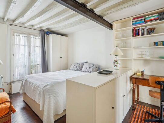 ID393 inviting 1 bedroom apartment in Rue de Turenne