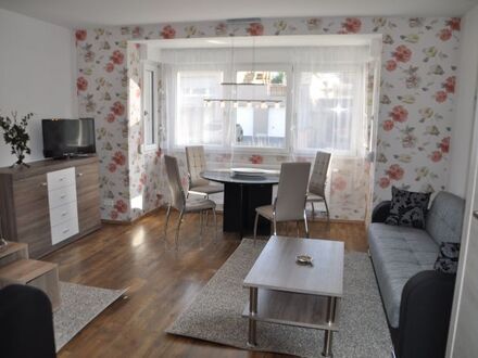 Ferienwohnung Rheinhessen b. Alzey 55232 möbliert, 2 ZKBD, Waschmaschine, Garten, Hof, Parken | Apartment, near Alzey 5…