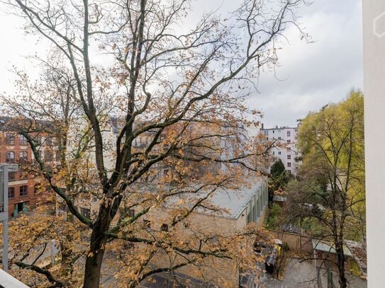 Stylish apartment in the old building with balcony near Ludwigkirchplatz, Berlin - Amsterdam Apartments for Rent