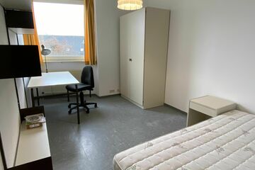 Hübsches und preiswertes Einzelapartment nahe Mainz