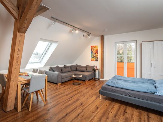 Charmantes Studio Appartement in Eckental