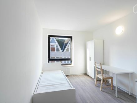 ruhiges und helles Studenten-Apartment in der Kieler Altstadt