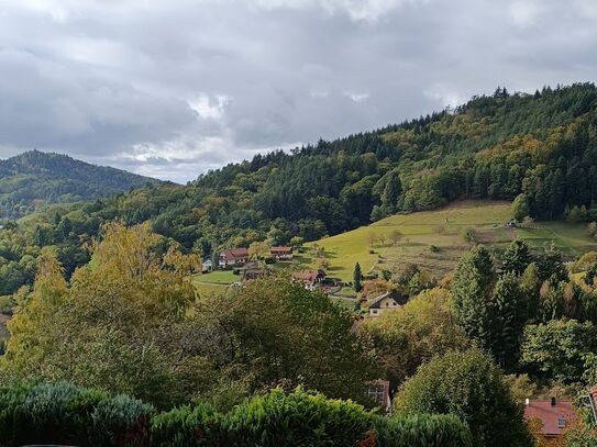 Stilvolle & neue Wohnung auf Zeit (Bühlertal)