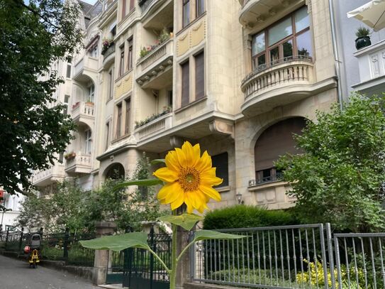 Schöne 4-Zimmer Altbauwohnung im Dichterviertel