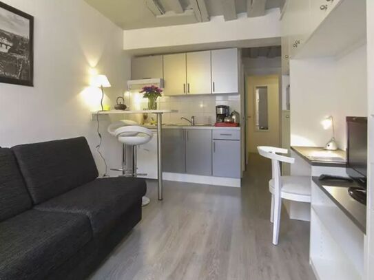 Furnished apartment - MARAIS