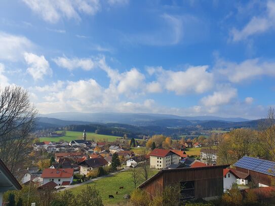 Lovely & pretty studio in Böbrach