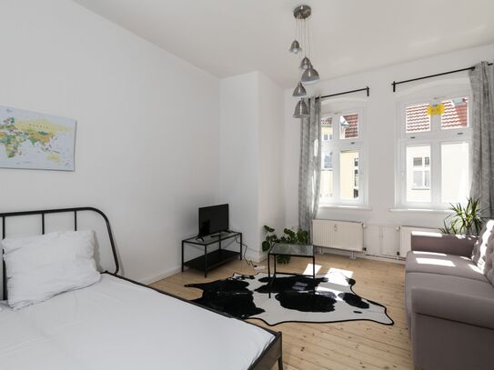 Cute & bright home in Prenzlauer Berg (Berlin)