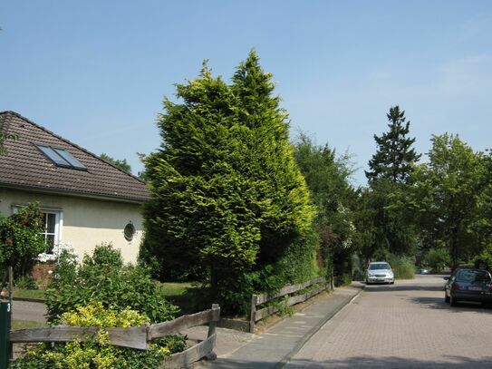 Haus auf Zeit mit spektakulärem Blick (Stade)