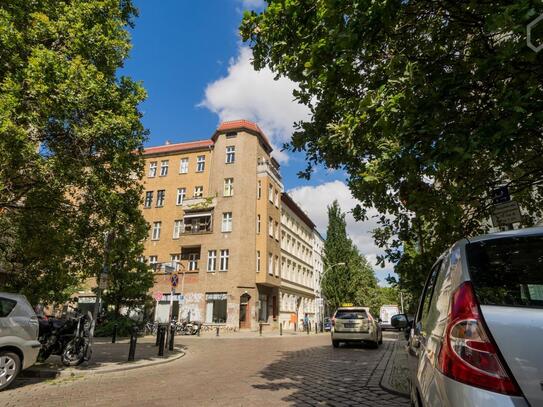 Quiet, gorgeous studio in Mitte (Berlin), Berlin - Amsterdam Apartments for Rent