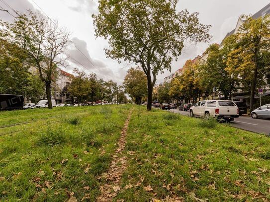 Gemütliches, feinstes Apartment im Wedding