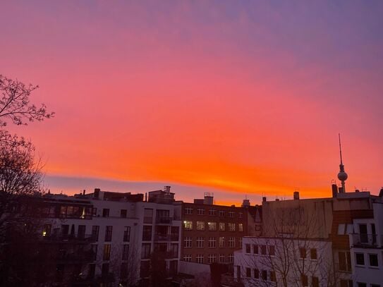 Charmante, ruhige, lichtdurchflutete Wohnung im Herzen von Berlin Mitte. Hinterhaus mit großem Garten und wunderbaren N…