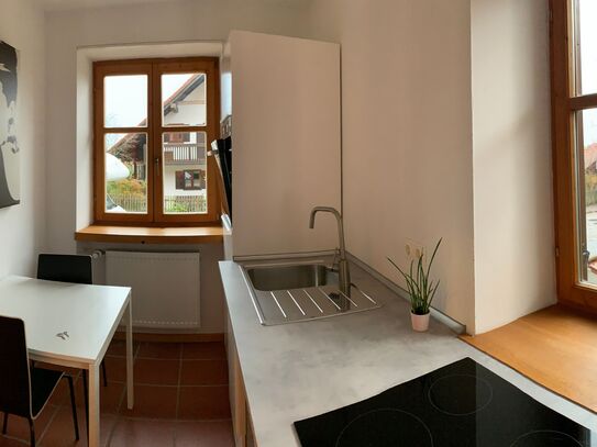 1 bedroom furnished apartment with terrace in Landshut