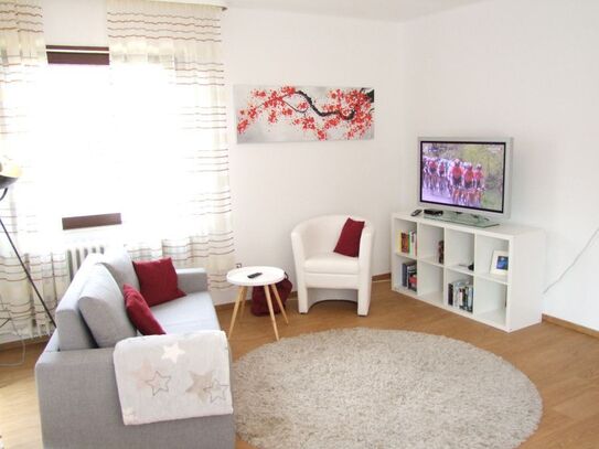 Appartement in Rauenberg, komplett ausgestattet / completely equipped