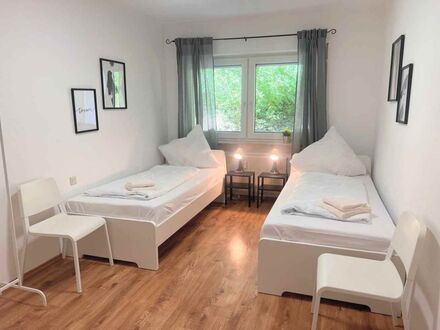 Wunderschönes, schickes Apartment in Bad Ems | Cozy Apartment with WiFi & Balcony