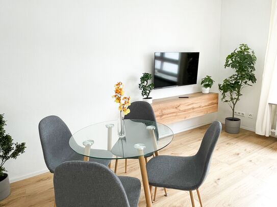 Stylish Business Apartment in Central Location (only 5 minutes from the main train station)