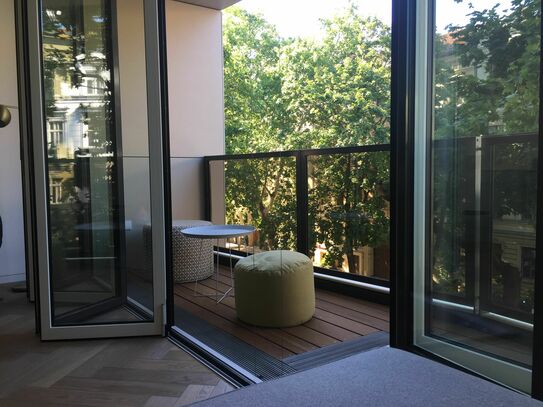 Moderne stylische Wohnung mit Balkon in Mitte