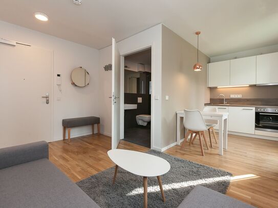 Cozy studio in Mitte