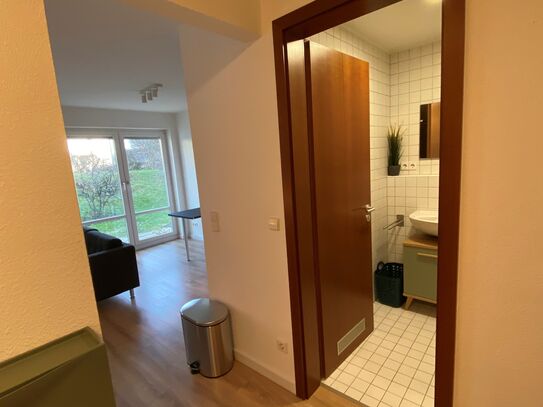 Comfortable newly furnished apartment in Dresden