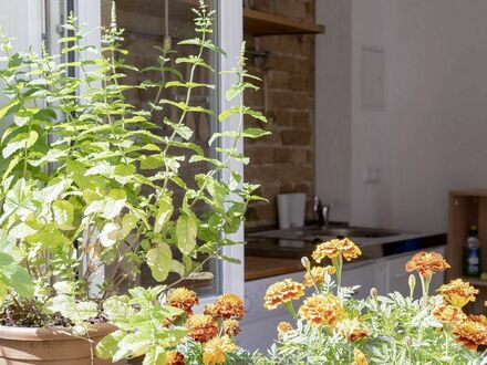 Brick Style Studio Apt in Prenzlauer Berg