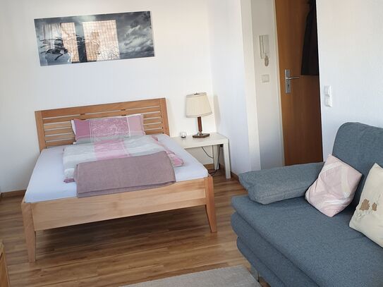 Bright suite located in Freiburg im Breisgau