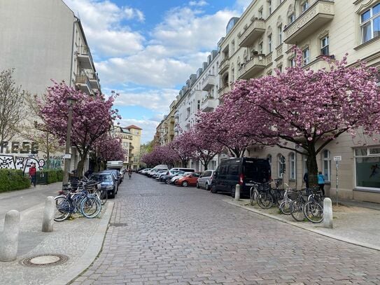 Fashionably furnished & fully furnished 2-room apartment in Prenzlauer Berg (Berlin), Berlin - Amsterdam Apartments for…