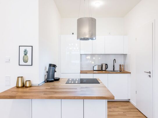 New Two Bedroom Apartment in Berlin Mitte