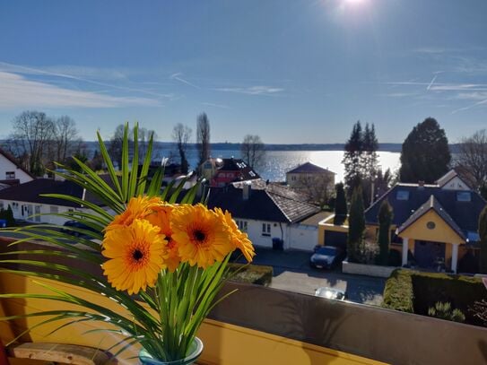 Bright apartment with beautiful view in the lake