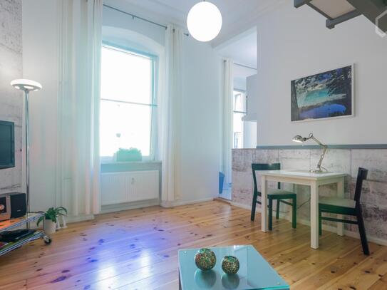 Bright, charming home in popular area, Berlin - Amsterdam Apartments for Rent