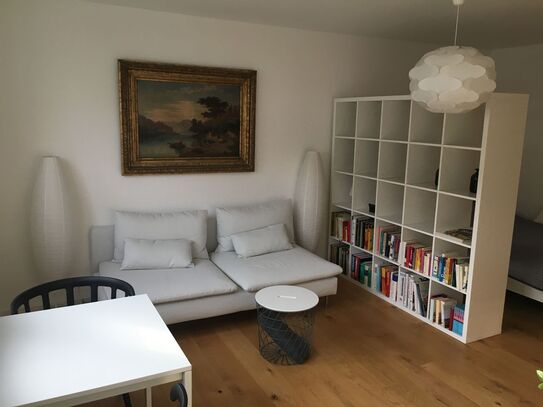 Cozy & gorgeous apartment in Frankfurt am Main / Sachsenhaus - right next to Schweizer Platz, Frankfurt - Amsterdam Apa…