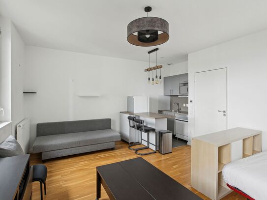 Modern apartment in the 13th arrondissement