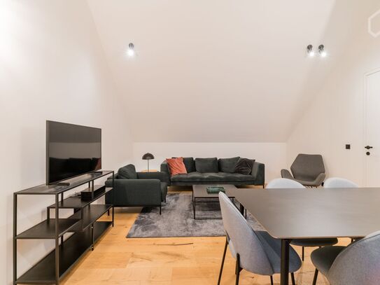 Exclusive Modern Penthouse in Berlin Mitte, Berlin - Amsterdam Apartments for Rent