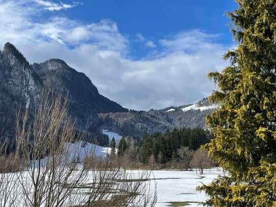 Spacious house with view of the mountains