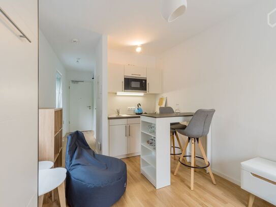 Elegant new studio in Victoriastadt., Berlin - Amsterdam Apartments for Rent