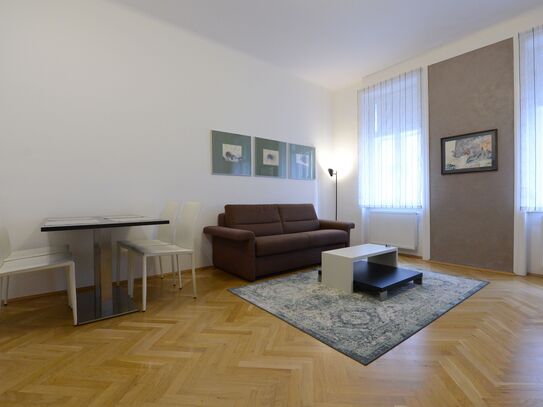 Schönes, modernes Apartment nahe Stadtzentrum (Wien)