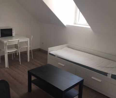 Newly renovated studio in Belfort city center