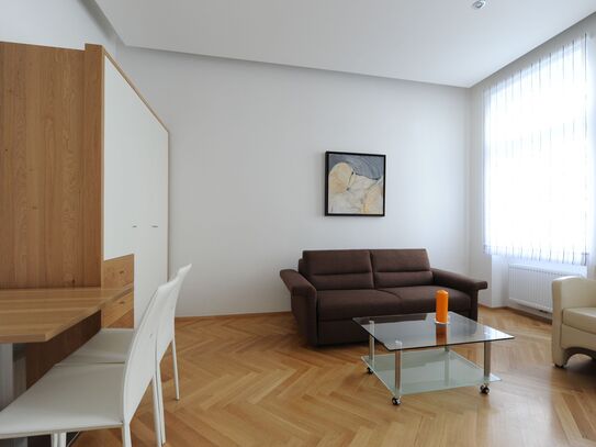 Schönes, modernes Apartment in Wien