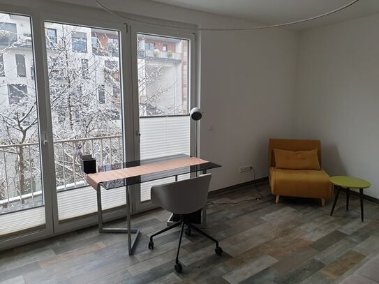 Neat studio on the riverside, Leipzig - Amsterdam Apartments for Rent