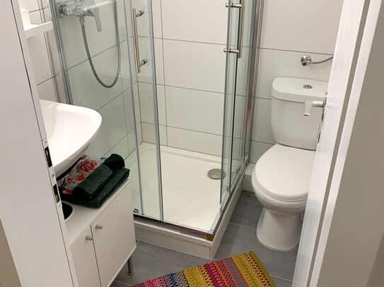 Freshly furnished, cozy apartment with new bathroom in Mainz