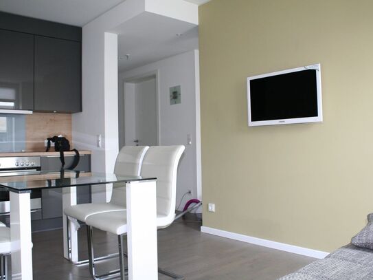 Domestic and new studio apartment in Mitte, Berlin - Amsterdam Apartments for Rent