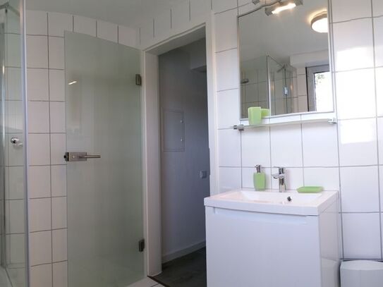 Pretty, nice studio (Köln), Koln - Amsterdam Apartments for Rent